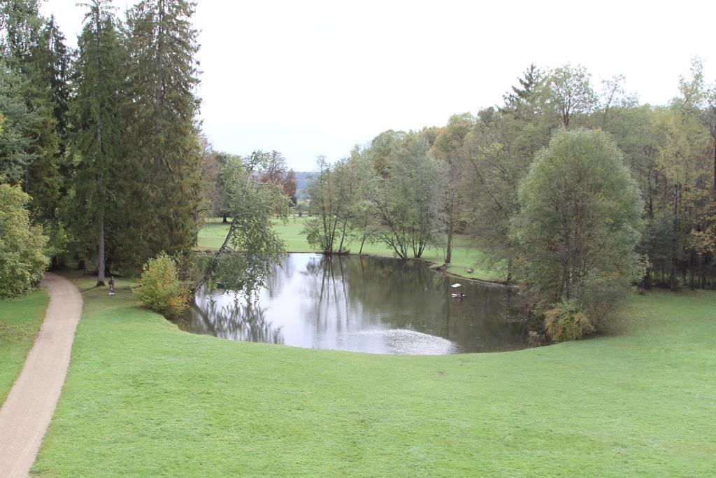 Chateau Du Breuil Bed & Breakfast Gevrolles ห้อง รูปภาพ